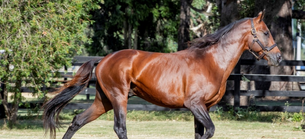 ABM25webarticleimage4