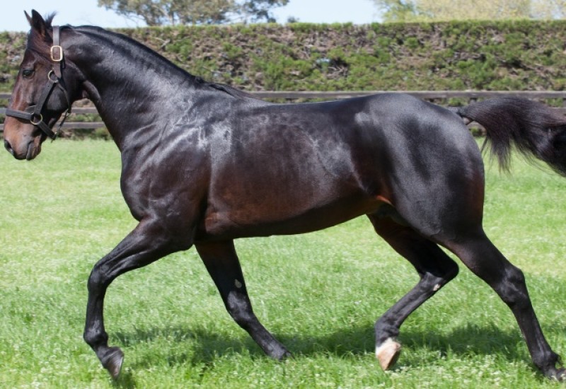 ARNRDnewsarticleaug20