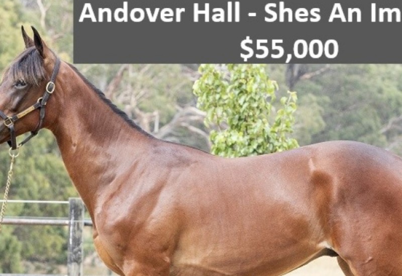 AndoverHall ShesAnImagecoltweb