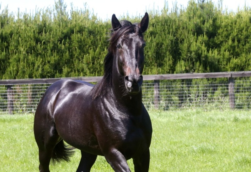 Creatine2websitenews2