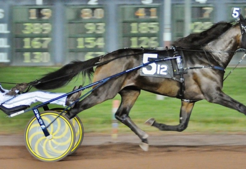 GreenshoeBealelimwebnews8