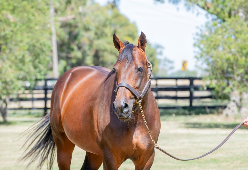 Vincentnewwebarticle2 v2